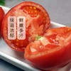 生态小红番茄 西红柿 口感佳 脆甜回甘 甜度高 汁水足 风味浓 生食比水果还好吃 商品缩略图5