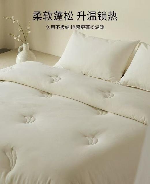 大豆被空调被子被芯春秋被加厚冬被四季通用保暖冬季 商品图1