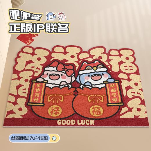 慢说丝圈入户垫 PVC丝圈材质刮泥蹭土不漏灰尘防滑0.6cm不卡门缝支持DIY自由裁剪 商品图1