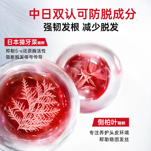 卡蓓诺洗发水 商品图8