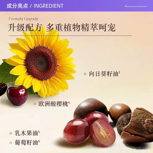 【保税仓】欧舒丹二代樱花身体乳250ml（效期：2028/04） 商品图2