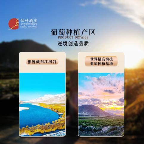自营（帕竹）-西藏帕竹酒庄帕竹日岗干白葡萄酒单支礼盒 聚会 送礼 微醺 商品图4