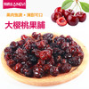 爱樱维樱桃果脯125g/袋【山东必买好品】 商品缩略图1