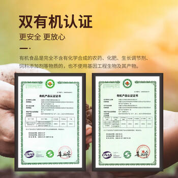 亚麻公社有机亚麻籽粉 内蒙古金色亚麻籽低温烘焙300g 独立包装含亚麻酸	 /粮油调味 /杂粮 /谷米类 商品图4