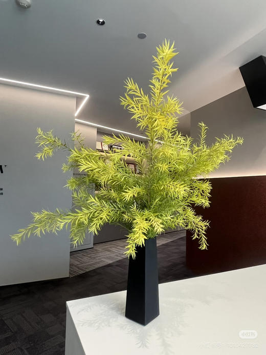 【千层金 】原色 若干枝/扎（秋冬季颜色偏秋色） 商品图1