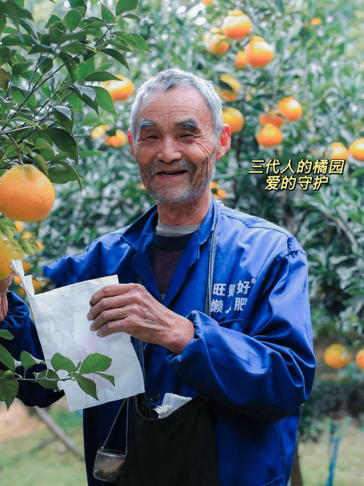 【等待一年的耙耙柑】顺丰/京东包邮   春天里的 春见耙耙柑 9.5-9.8高熟度 果味浓郁 不打除草剂 施有机肥 生态种植 孕妇孩子放心吃 商品图3