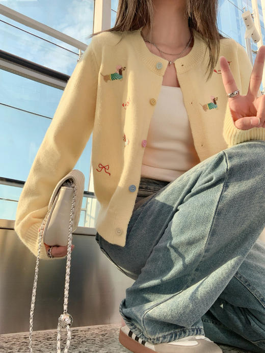 <曾小咸推荐>2.6现货秒杀 ！微信超特价！绣花小狗系扣毛衣开衫 日常189.99 立减100 秒杀89.99！！ 商品图9