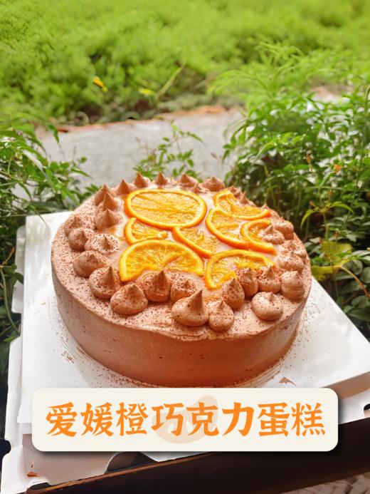 生态爱媛橙水果片 3袋装 不添加额外糖0添加剂无硫 干吃即食泡水 商品图6