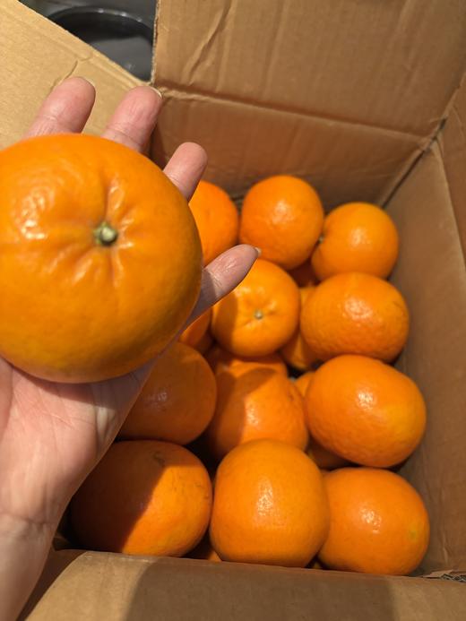 沃柑  带箱10斤 商品图1