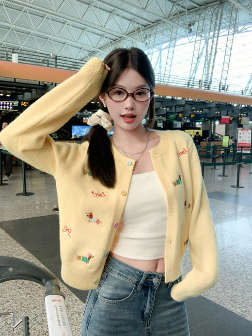 <曾小咸推荐>2.6现货秒杀 ！微信超特价！绣花小狗系扣毛衣开衫 日常189.99 立减100 秒杀89.99！！ 商品图5