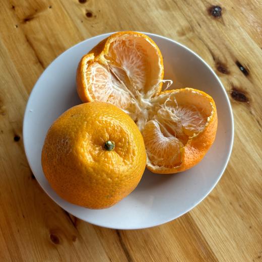 生态大雅耙耙柑   产地：四川 【基地直发】 商品图1