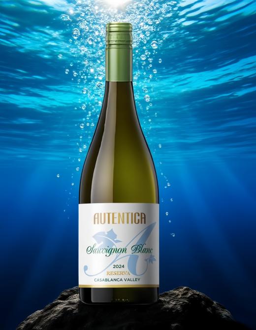 智利卡萨布兰卡山谷长相思珍藏白葡萄酒12.5%vol六支装 商品图1