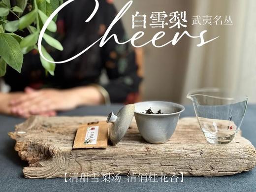 【稀缺名丛】武夷岩茶名丛《白雪梨》，干燥的冬季，少不了这一杯清甜雪梨汤 商品图4