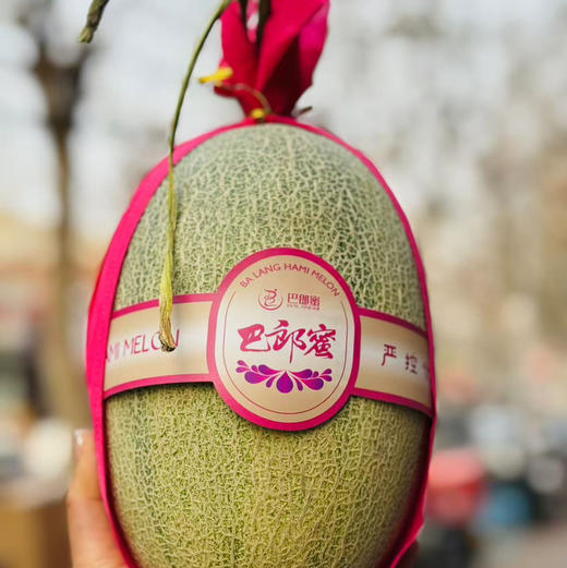 【超甜哈密瓜】新鲜到店，超甜！果肉细腻！脆甜爽口，哈密瓜，就是这个味！ 商品图7