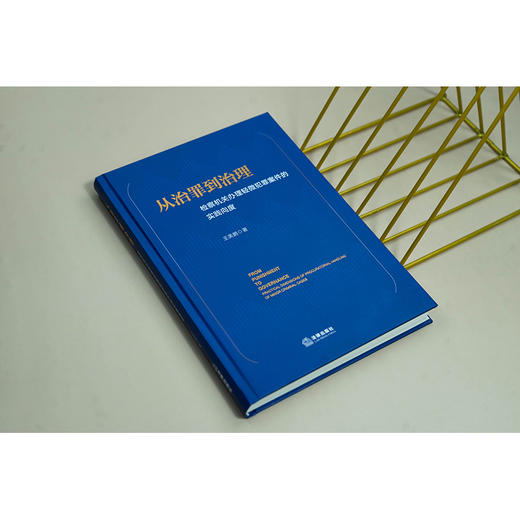 从治罪到治理：检察机关办理轻微犯罪案件的实践向度   王美鹏著  法律出版社 商品图1