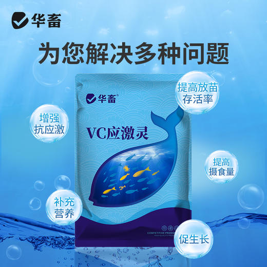 华畜vc鱼用应激灵水产养殖专用药维生素c虾蟹电解多维抗应激解毒 商品图1
