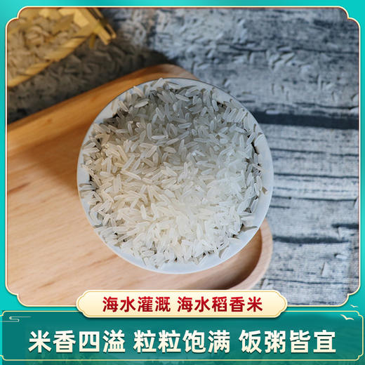 海大红  海水稻香米 5kg 商品图0