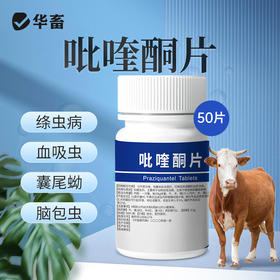 华畜 0.2g高含量吡喹酮片50片/瓶 肝脑清 驱虫促长 防治脑包虫 动物血吸虫病 用于治多种虫类