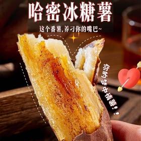 【软糯香甜❗️老少皆宜】山东白哈密白薯面甜红薯番薯蒸烤白薯蜜薯地瓜蜜薯现挖粗粮代餐。jc