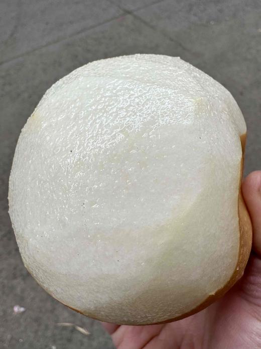 晚熟秋月，果肉细嫩，甘甜化渣，脆爽多汁，润肺清火化痰 商品图3