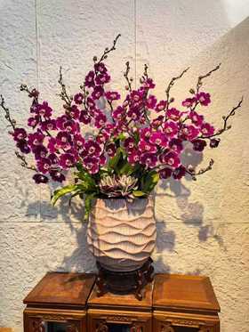 年宵豪华高端定制蝴蝶兰盆栽造型五星上将16支