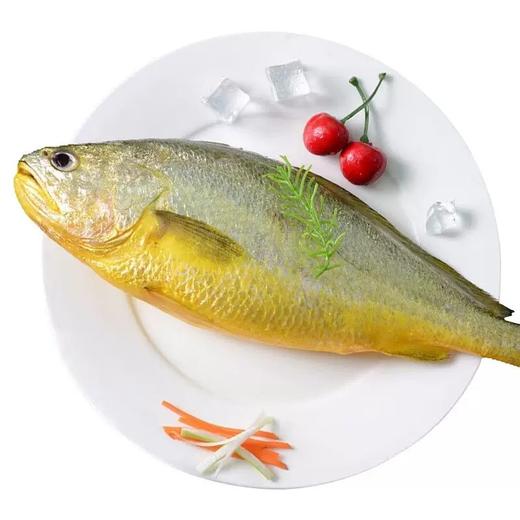 【黄花鱼】海捕大黄花鱼三去大黄花鱼 500g-600g/条 商品图0