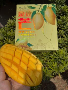 海南金煌芒【ABDY1】