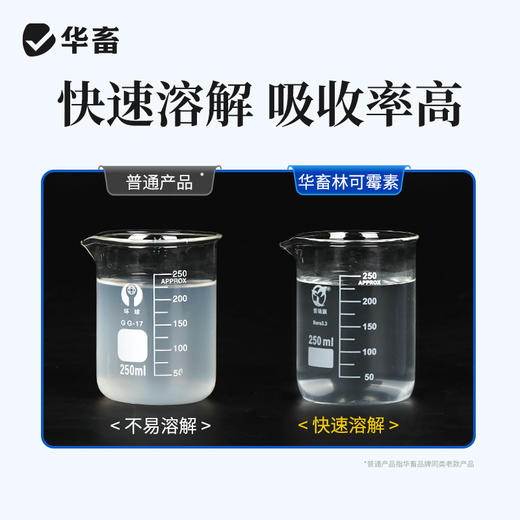 华畜兽药 盐酸林可霉素可溶性粉 采用进口助溶剂 吸收更好 药效更强 商品图2