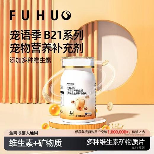 【俘获好礼】俘获B21猫咪维生素宠物多种复合维生素片补充微量元素防掉毛犬猫通用 商品图0