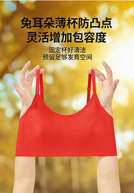 小动芯春节版 商品图1