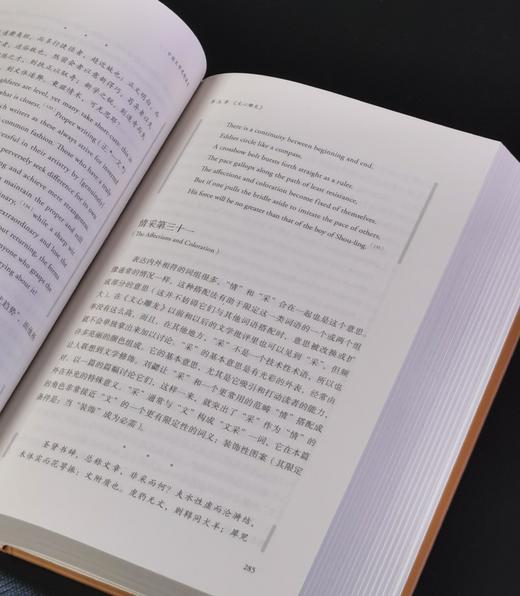 【特惠】《中国文学思想读本：原典.英译.解说》，16开，精装，[美]宇文所安著，三联书店2019年一版一印，840面，定价128，售价：45元。 商品图8