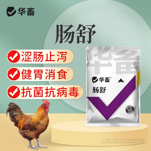 华畜 肠舒200g 涩肠止泻健胃消食 抗菌抗病毒 禽畜通用 商品图0