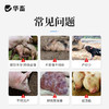 华畜多胎多仔素兽用母猪促排卵好配种叶酸生育酚维生素E发情粉剂 商品缩略图1