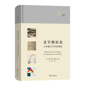 文字的历史：从表意文字到多媒体(文字与文明译丛)