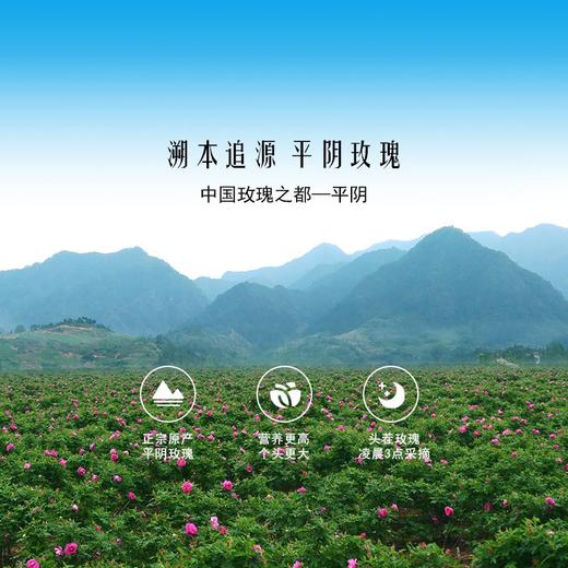 花田玑密冻干玫瑰鲜花茶【山东必买好品】 商品图4