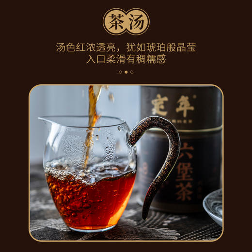 【定年】八年陈六堡茶100g 商品图3