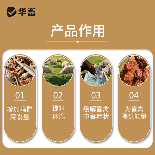 华畜葡萄糖粉5公斤装 增强抵抗力 补充体能 抗应激 禽畜通用 商品图1