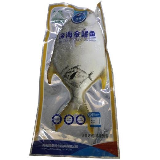 【大金鲳】三去大金鲳鱼每条500克 商品图0