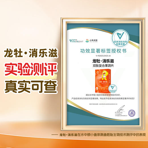 新升级【双肽好吸收】龙牡消乐滋双肽复合果蔬片（10粒*1.8g/盒），鸡内金肽牛脾肽加锌益生元 商品图2