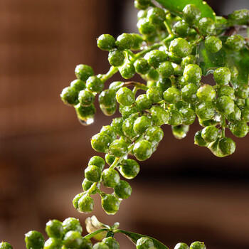 爱蜀味【四川产地】红花椒120g 袋装大红袍花椒 特麻麻椒 源头直发 包邮 /粮油调味 /调味品 /基础香辛料 商品图2