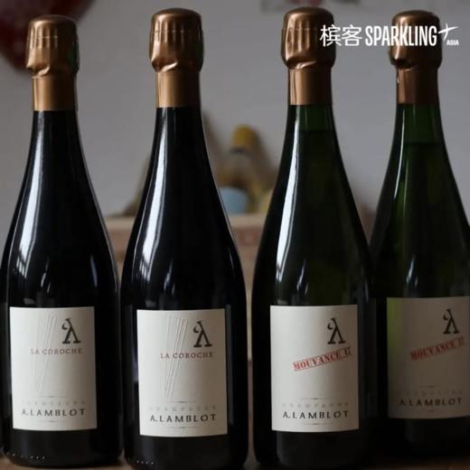 A.Lamblot  La Coroche 2019  朗布罗科洛香槟 2019 商品图1