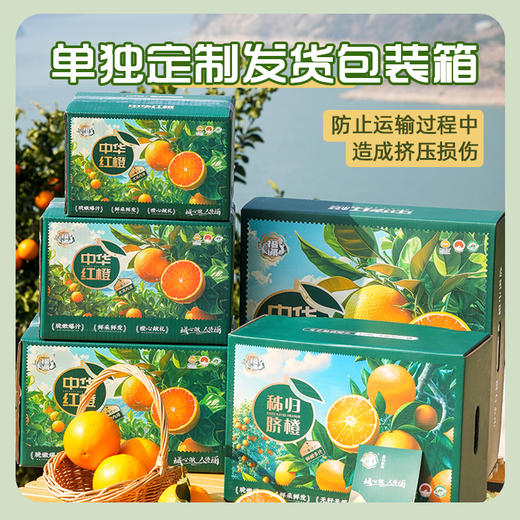 【橙中贵族】秭归中华红橙 5斤装 汁多肉嫩 酸甜可口 源自中国脐橙之乡 顺丰直发 商品图13