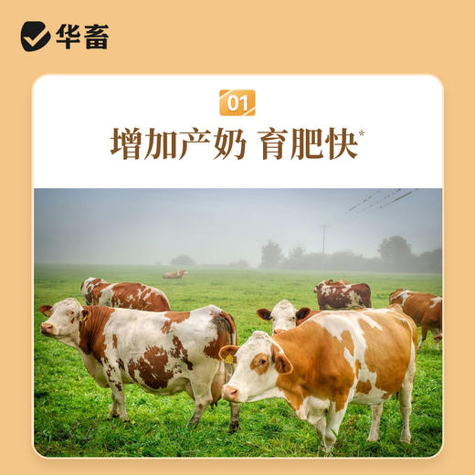 华畜兽用小苏打 中和胃酸健胃增产 猪鸡牛羊通用 商品图3