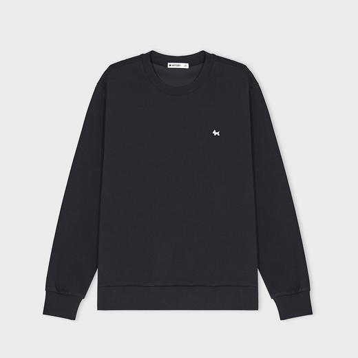 【新品上新】HX 春季圆领卫衣Y106610001101 商品图4