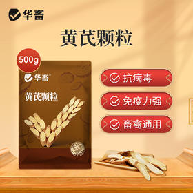 华畜兽用黄芪颗粒提高免疫力猪牛羊鸡鸭鹅抗应激补能量饲料添加剂