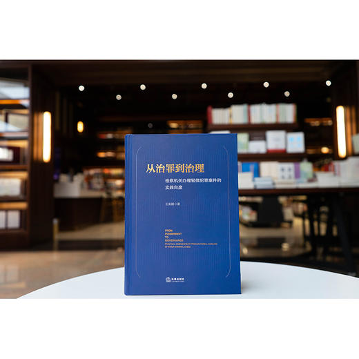 从治罪到治理：检察机关办理轻微犯罪案件的实践向度   王美鹏著  法律出版社 商品图0