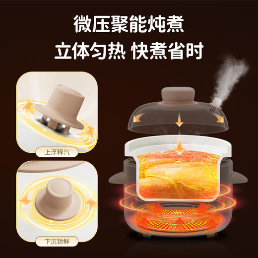 天际（TONZE）母婴电炖锅 宝宝辅食锅陶瓷 蒸煮米油分月龄直炖微压炖锅BB煲迷你炖盅 DDG-10DB 1L 商品图3
