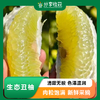 生态丑柚（象宝柚/药柚）| 基地直发* Ecological  pomelo 商品缩略图0