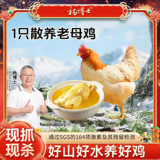 【发出后不支持拦截退货】杨博士 老母鸡 900g/900g*2 商品图0