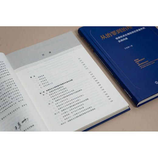 从治罪到治理：检察机关办理轻微犯罪案件的实践向度   王美鹏著  法律出版社 商品图2